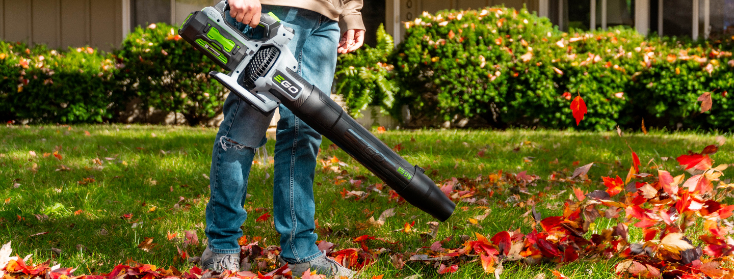 Post Harvest Inspections